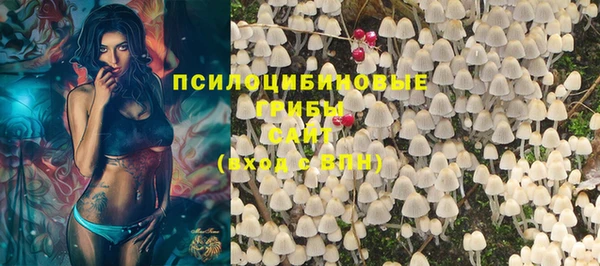 мдпв Братск