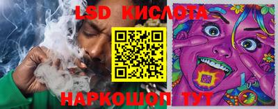 гидра Берёзовский