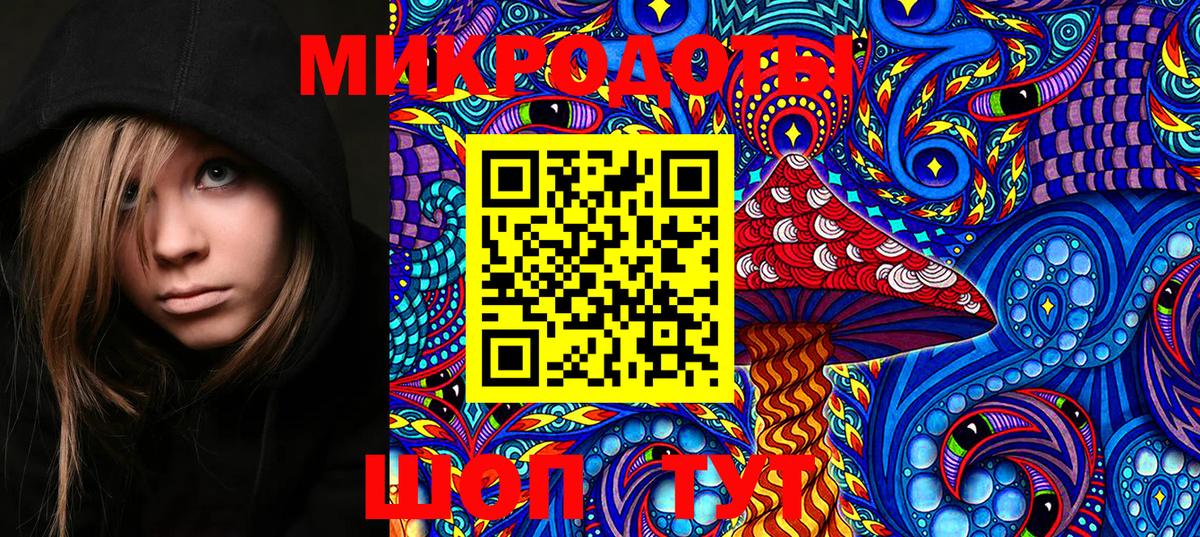 Галлюциногенные грибы Psilocybe  сколько стоит  Галлюциногенные грибы Psilocybine cubensis  Фрязино 